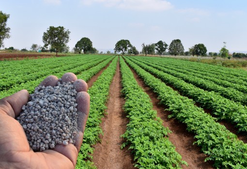 SINFERT: Recovering Soluble Fertiliser from Minerals and Waste Sources