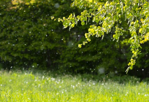 BOHEMIAN: Biological and chemical aerosol monitoring and modelling