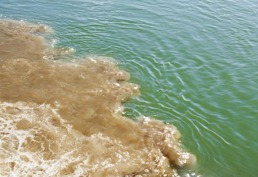 RESTART: Monitoring Microbiological Water Quality