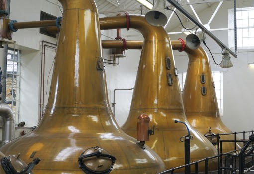 EMERGE: Engineered organic carbon-based functional material for energy and water