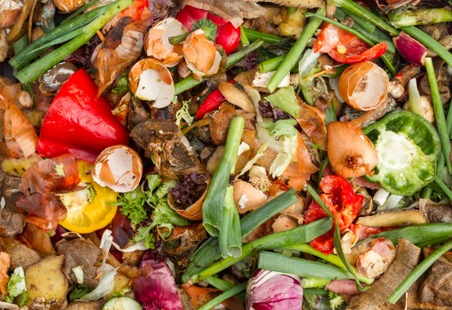 WAVA: Valorising Food Waste into Value Added Commodities