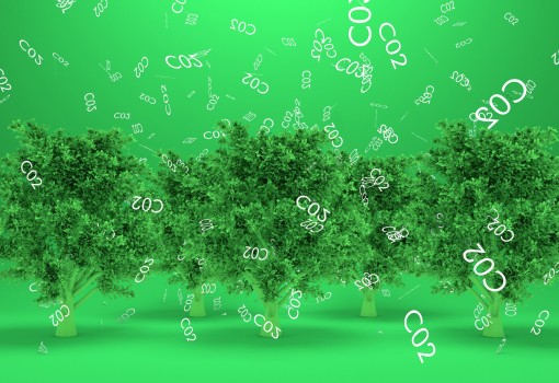 Carbon-Impact: Implementing Atmospheric CO2-Capture Technologies