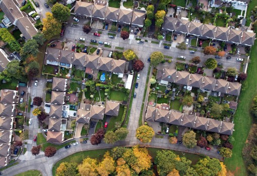 INTERVAL: Minimising the Uneven Street Tree Distribution in Cities