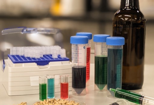 Grain-4-Lab: Replacing Single Use Lab Equipment with Bioplastics