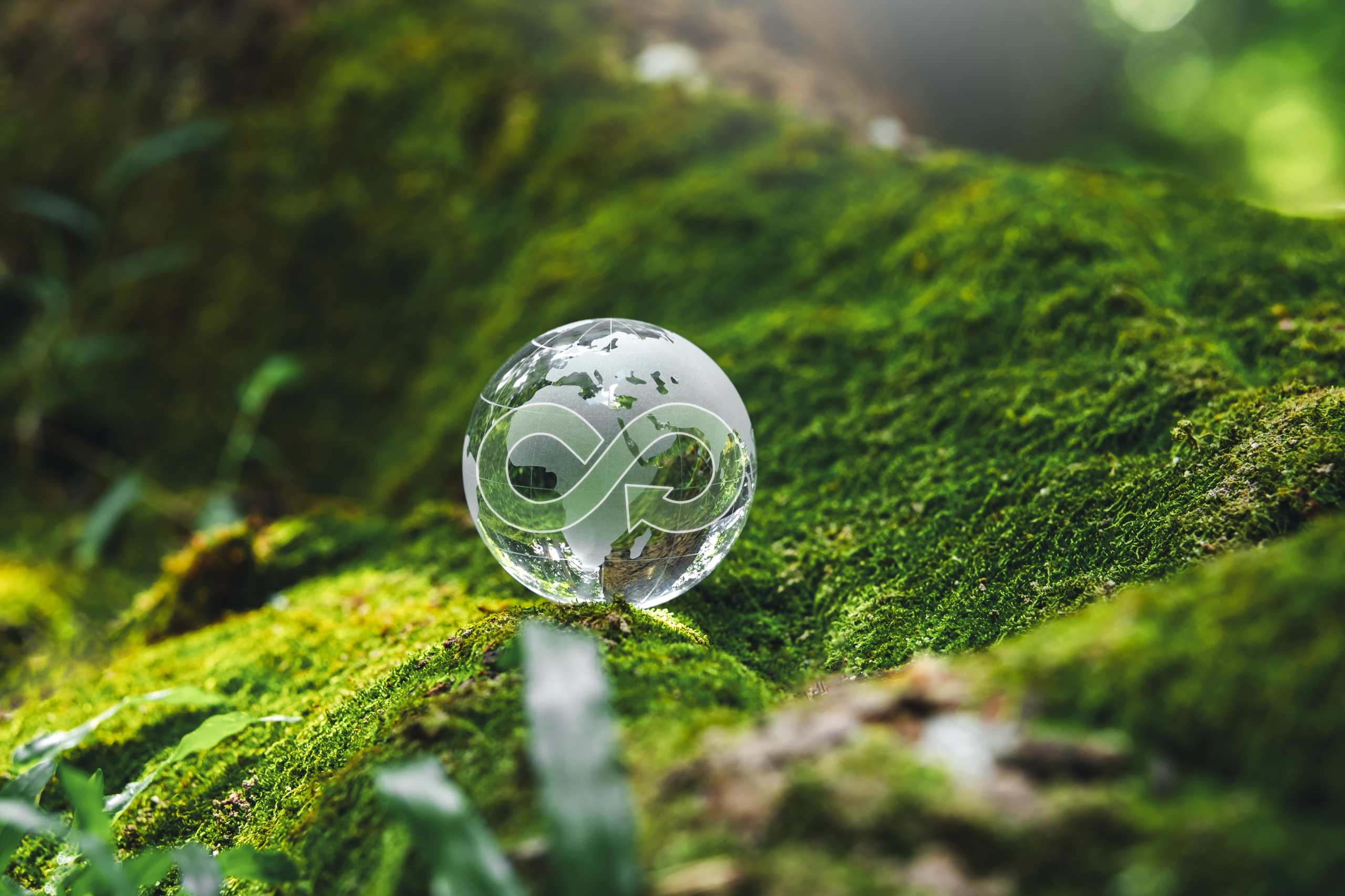 A decorative image depicting a globe and sustainability.