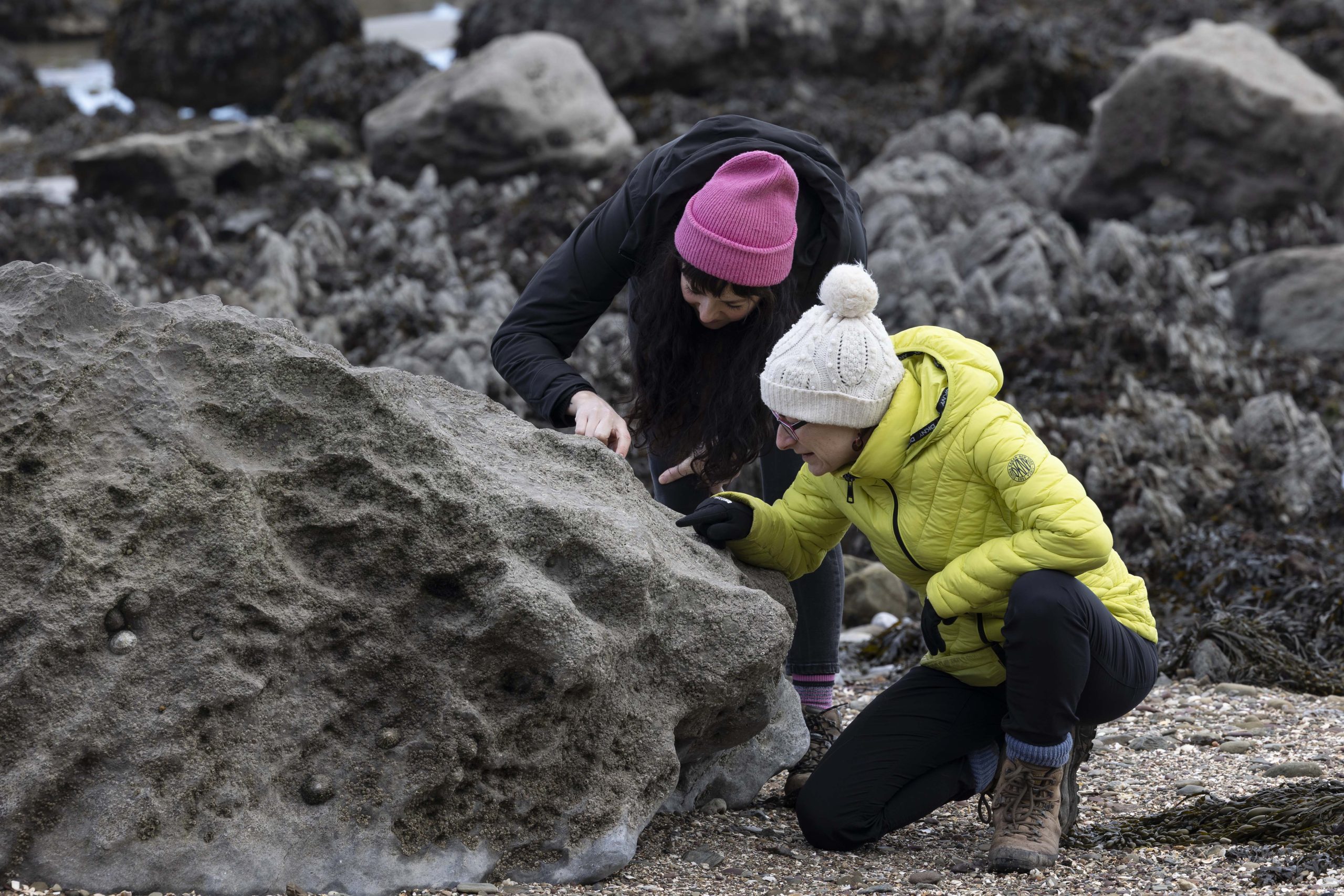 Jess Franklin of School of Biological, Earth and Environmental Science and Professor Maria McNamara MRIA, Professor of Palaeontology explore coastal rocks, uncovering fossils that tell stories millions of years in the making!