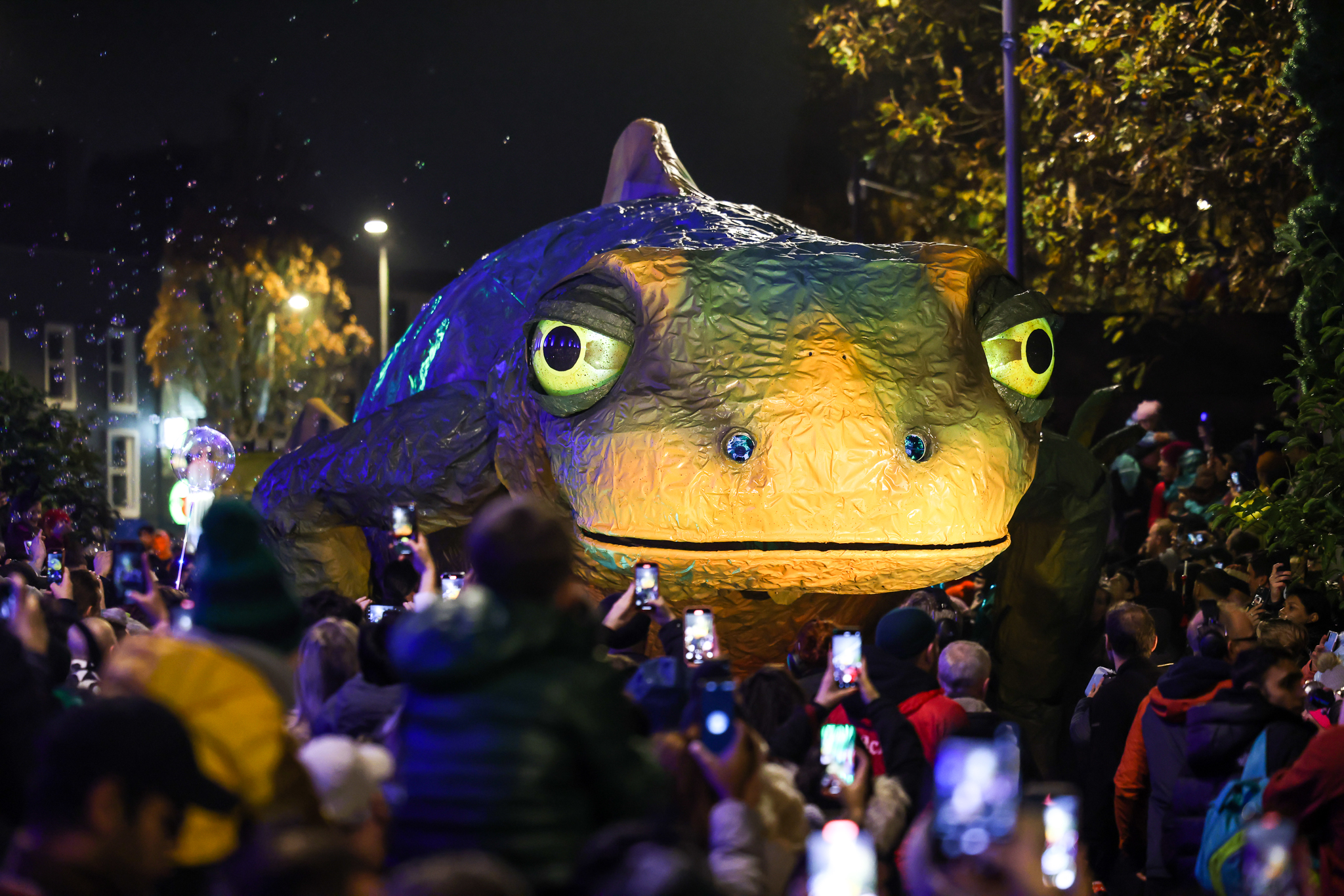 Alf, a 20m x 5m giant puppet of a Smooth Newt|