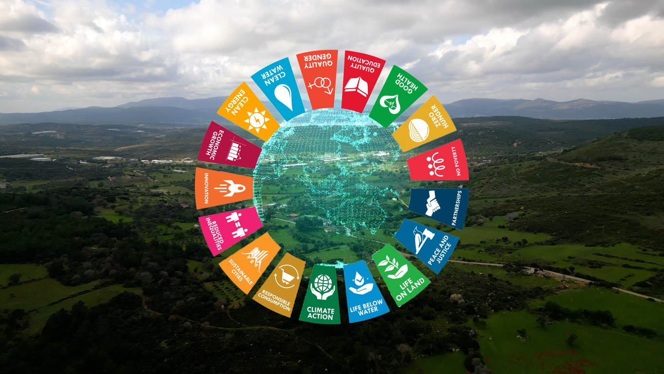 SDG Goals around a graphic of the earth. In the background is a field.